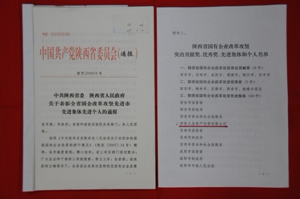 2009年2月，被陜西省委、省政府授予陜西省國有企業(yè)改革攻堅先進集體